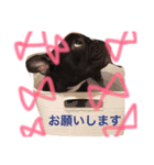 NICOスタンプ1（個別スタンプ：8）