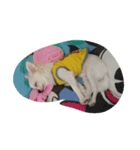 zzz zzz（個別スタンプ：7）