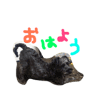 ちびとちゃちゃ2（個別スタンプ：2）
