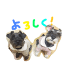 ちびとちゃちゃ2（個別スタンプ：6）