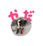 ちびとちゃちゃ2（個別スタンプ：7）