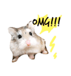 癒し系ニコちゃんとおまぬけなこうしくん（個別スタンプ：7）