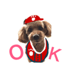 広島LOVE犬（個別スタンプ：1）