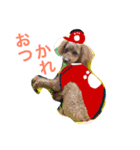 広島LOVE犬（個別スタンプ：10）