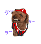 広島LOVE犬（個別スタンプ：14）