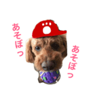 広島LOVE犬（個別スタンプ：18）