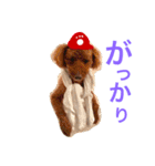 広島LOVE犬（個別スタンプ：19）