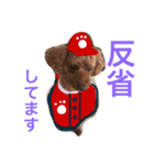 広島LOVE犬（個別スタンプ：24）