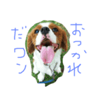 キャバタンプ（個別スタンプ：2）