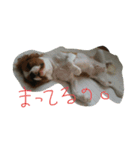 キャバタンプ（個別スタンプ：3）