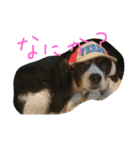 キャバタンプ（個別スタンプ：6）