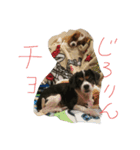 キャバタンプ（個別スタンプ：7）