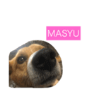 Lily by MASYU（個別スタンプ：1）