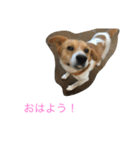 Lily by MASYU（個別スタンプ：2）