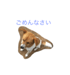 Lily by MASYU（個別スタンプ：5）