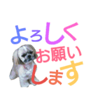可愛いやつら（個別スタンプ：13）