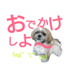 可愛いやつら（個別スタンプ：14）