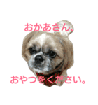 可愛いやつら（個別スタンプ：15）