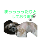 可愛いやつら（個別スタンプ：16）