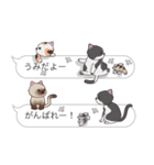 【うみ】猫だらけの吹き出し（個別スタンプ：8）