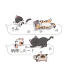 【うみ】猫だらけの吹き出し（個別スタンプ：9）