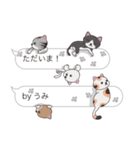 【うみ】猫だらけの吹き出し（個別スタンプ：23）