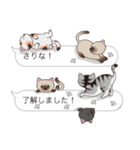 【さりな】猫だらけの吹き出し（個別スタンプ：17）