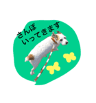 マイロの生活（個別スタンプ：2）
