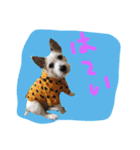 マイロの生活（個別スタンプ：5）