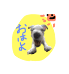 マイロの生活（個別スタンプ：6）
