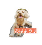 プリン・ア・ラモード（個別スタンプ：2）