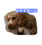 プリン・ア・ラモード（個別スタンプ：4）