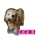 プリン・ア・ラモード（個別スタンプ：7）