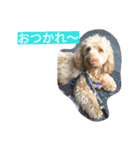 プリン・ア・ラモード（個別スタンプ：8）