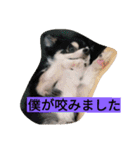 ちまちゃんズ（個別スタンプ：4）