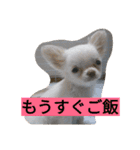 ちまちゃんズ（個別スタンプ：5）