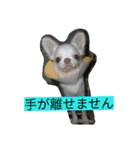 ちまちゃんズ（個別スタンプ：7）