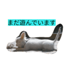 ちまちゃんズ（個別スタンプ：8）