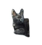 でぶ猫はてな（個別スタンプ：7）