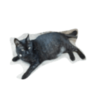 でぶ猫はてな（個別スタンプ：8）
