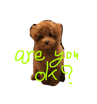 POP is DOG（個別スタンプ：1）
