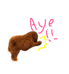 POP is DOG（個別スタンプ：7）