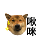Badoyao（個別スタンプ：7）