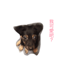 milk dog（個別スタンプ：7）