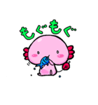 うぱうぱぱぱ（個別スタンプ：19）