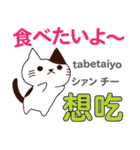 食いしん坊な猫 日本語台湾語（個別スタンプ：1）