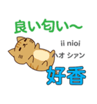 食いしん坊な猫 日本語台湾語（個別スタンプ：10）