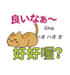 食いしん坊な猫 日本語台湾語（個別スタンプ：13）