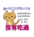 食いしん坊な猫 日本語台湾語（個別スタンプ：17）