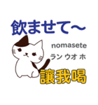 食いしん坊な猫 日本語台湾語（個別スタンプ：20）